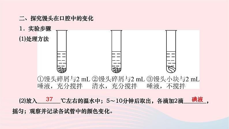 2024七年级生物下册第四单元生物圈中的人第二章人体的营养第二节消化和吸收第1课时消化系统和探究馒头在口腔中的变化作业课件新版新人教版第4页