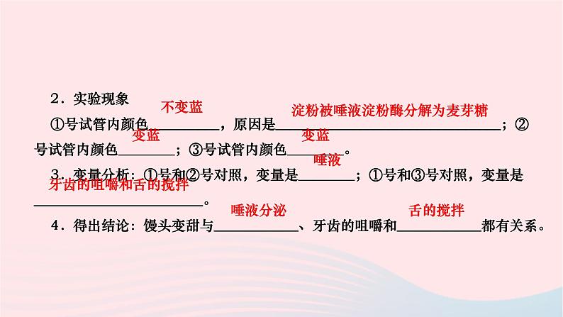 2024七年级生物下册第四单元生物圈中的人第二章人体的营养第二节消化和吸收第1课时消化系统和探究馒头在口腔中的变化作业课件新版新人教版第5页