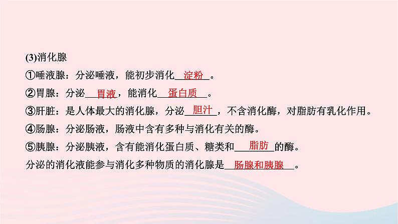 2024七年级生物下册第四单元生物圈中的人第二章人体的营养第二节消化和吸收第1课时食物的消化作业课件新版新人教版04