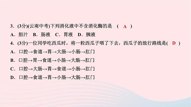 2024七年级生物下册第四单元生物圈中的人第二章人体的营养第二节消化和吸收第1课时食物的消化作业课件新版新人教版07