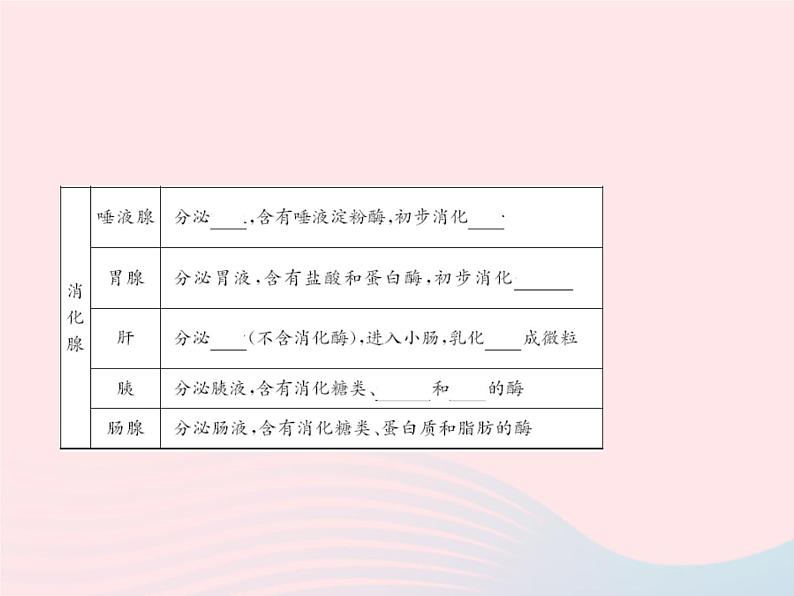 2024七年级生物下册第四单元生物圈中的人第二章人体的营养第二节消化和吸收作业课件新版新人教版05