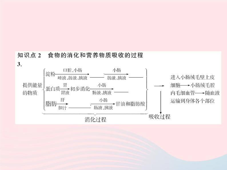 2024七年级生物下册第四单元生物圈中的人第二章人体的营养第二节消化和吸收作业课件新版新人教版06