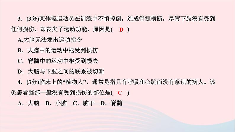 2024七年级生物下册第四单元生物圈中的人第六章人体生命活动的调节第二节神经系统的组成作业课件新版新人教版第6页