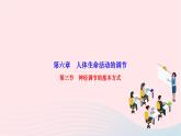2024七年级生物下册第四单元生物圈中的人第六章人体生命活动的调节第三节神经调节的基本方式作业课件新版新人教版
