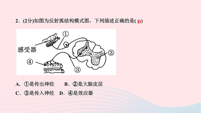 2024七年级生物下册第四单元生物圈中的人第六章人体生命活动的调节第三节神经调节的基本方式作业课件新版新人教版第6页