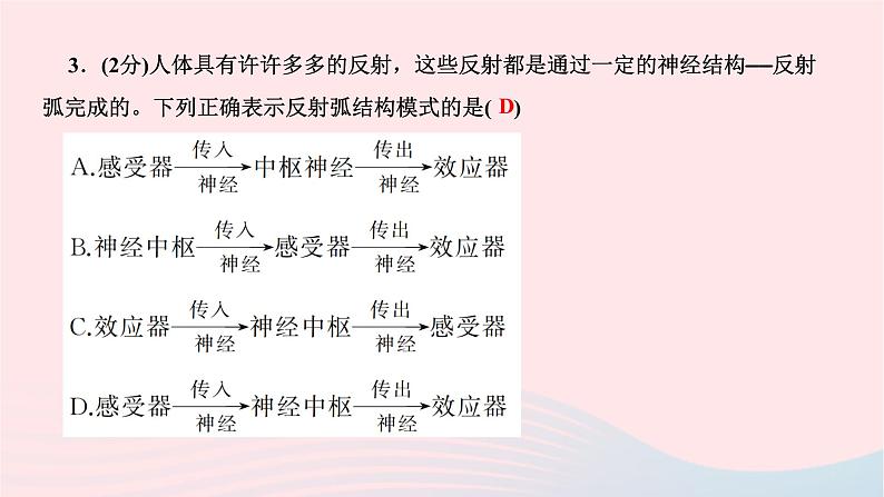 2024七年级生物下册第四单元生物圈中的人第六章人体生命活动的调节第三节神经调节的基本方式作业课件新版新人教版第7页