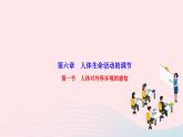 2024七年级生物下册第四单元生物圈中的人第六章人体生命活动的调节第一节人体对外界环境的感知作业课件新版新人教版