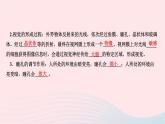 2024七年级生物下册第四单元生物圈中的人第六章人体生命活动的调节第一节人体对外界环境的感知作业课件新版新人教版