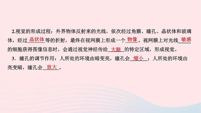 2024七年级生物下册第四单元生物圈中的人第六章人体生命活动的调节第一节人体对外界环境的感知作业课件新版新人教版第4页