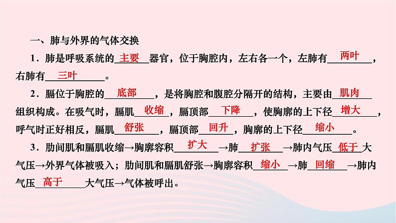 2024七年级生物下册第四单元生物圈中的人第三章人体的呼吸第二节发生在肺内的气体交换作业课件新版新人教版03