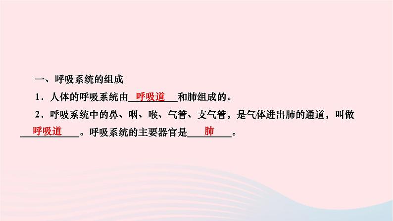 2024七年级生物下册第四单元生物圈中的人第三章人体的呼吸第一节呼吸道对空气的处理作业课件新版新人教版第3页