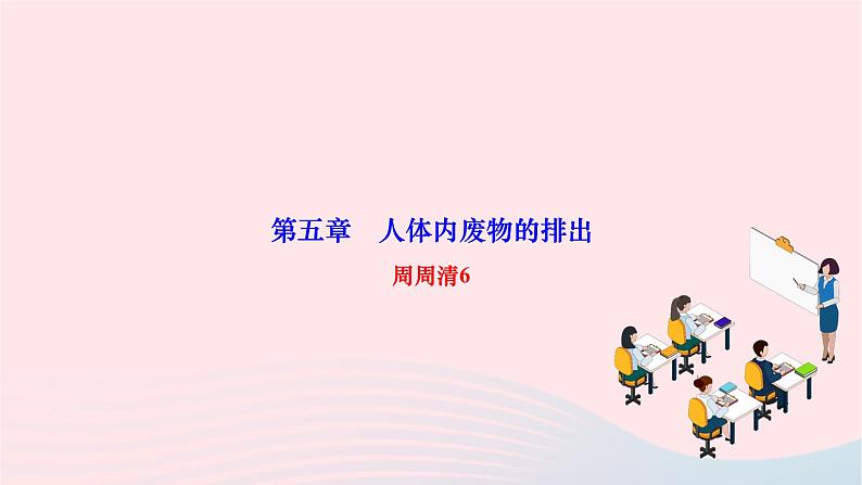 2024七年级生物下册第四单元生物圈中的人第五章人体内废物的排出周周清6作业课件新版新人教版第1页