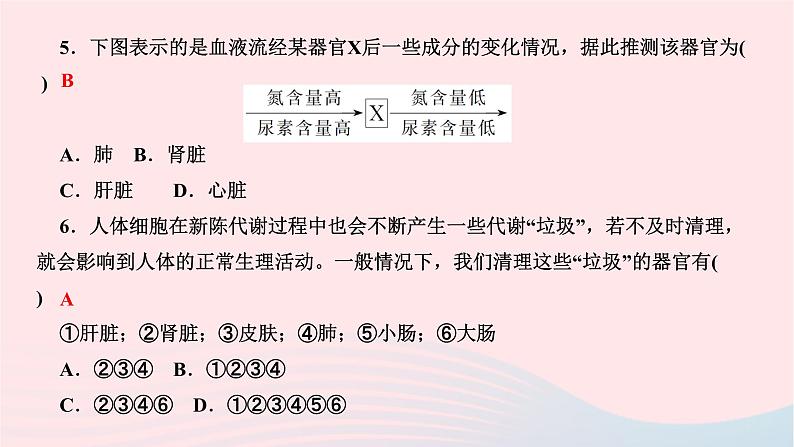 2024七年级生物下册第四单元生物圈中的人第五章人体内废物的排出周周清6作业课件新版新人教版第4页