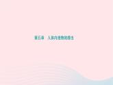 2024七年级生物下册第四单元生物圈中的人第五章人体内废物的排出作业课件新版新人教版