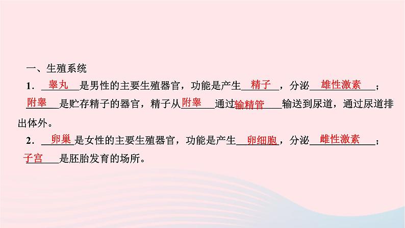 2024七年级生物下册第四单元生物圈中的人第一章人的由来第二节人的生殖作业课件新版新人教版03