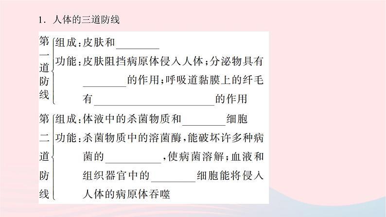 2024八年级生物下册第八单元降地生活第一章传染病和免疫第二节免疫与计划免疫第1课时人体的三道防线作业课件新版新人教版02