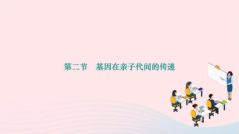 2024八年级生物下册第七单元生物圈中生命的延续和发展第二章生物的遗传与变异第二节基因在亲子代间的传递作业课件新版新人教版第1页