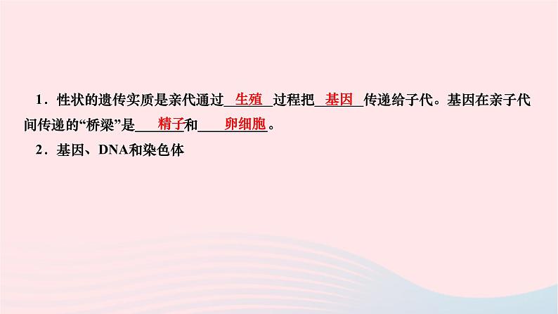 2024八年级生物下册第七单元生物圈中生命的延续和发展第二章生物的遗传与变异第二节基因在亲子代间的传递作业课件新版新人教版第2页