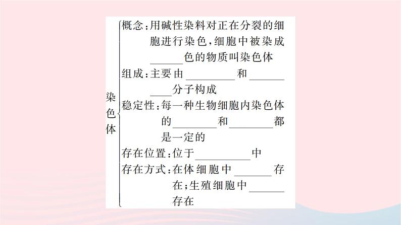 2024八年级生物下册第七单元生物圈中生命的延续和发展第二章生物的遗传与变异第二节基因在亲子代间的传递作业课件新版新人教版第3页