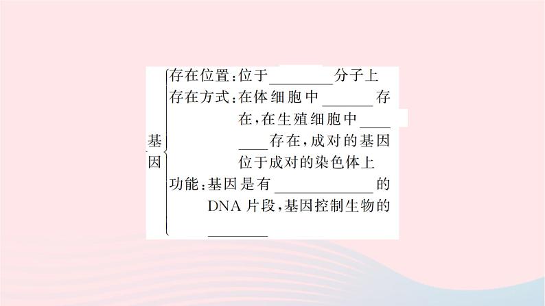 2024八年级生物下册第七单元生物圈中生命的延续和发展第二章生物的遗传与变异第二节基因在亲子代间的传递作业课件新版新人教版第5页