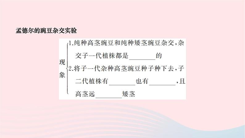 2024八年级生物下册第七单元生物圈中生命的延续和发展第二章生物的遗传与变异第三节基因的显性和隐性第1课时孟德尔的豌豆杂交实验作业课件新版新人教版02