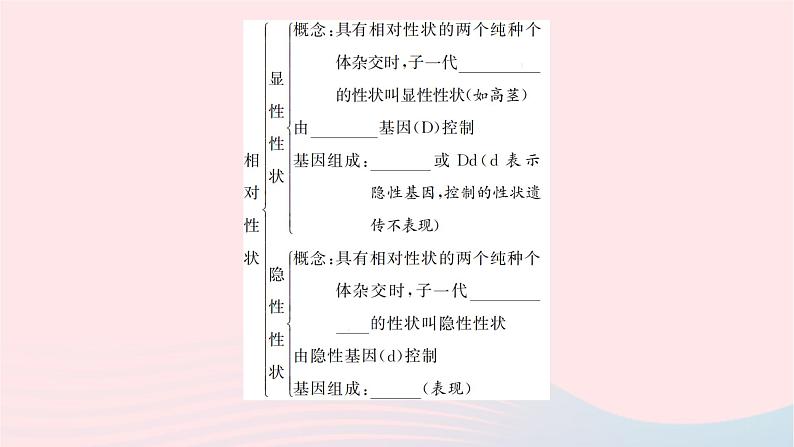 2024八年级生物下册第七单元生物圈中生命的延续和发展第二章生物的遗传与变异第三节基因的显性和隐性第1课时孟德尔的豌豆杂交实验作业课件新版新人教版03