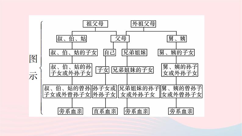 2024八年级生物下册第七单元生物圈中生命的延续和发展第二章生物的遗传与变异第三节基因的显性和隐性第2课时禁止近亲结婚作业课件新版新人教版第4页