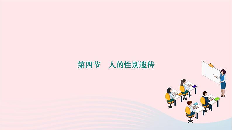 2024八年级生物下册第七单元生物圈中生命的延续和发展第二章生物的遗传与变异第四节人的性别遗传作业课件新版新人教版第1页