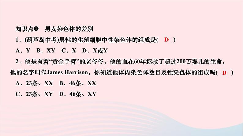 2024八年级生物下册第七单元生物圈中生命的延续和发展第二章生物的遗传与变异第四节人的性别遗传作业课件新版新人教版第4页