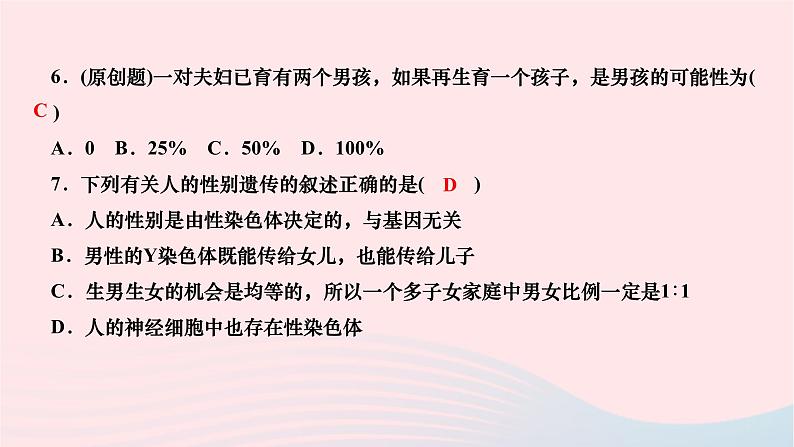 2024八年级生物下册第七单元生物圈中生命的延续和发展第二章生物的遗传与变异第四节人的性别遗传作业课件新版新人教版第7页