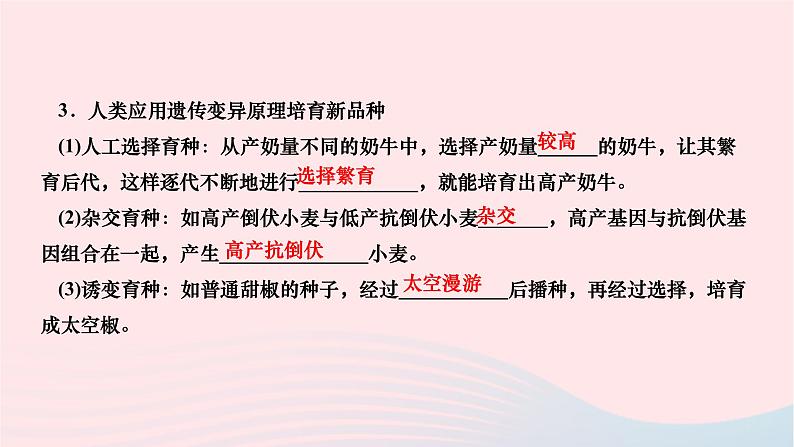 2024八年级生物下册第七单元生物圈中生命的延续和发展第二章生物的遗传与变异第五节生物的变异作业课件新版新人教版04