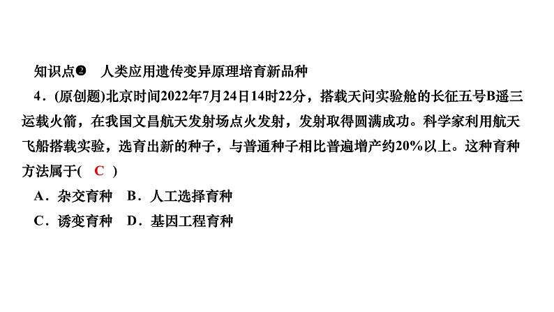 2024八年级生物下册第七单元生物圈中生命的延续和发展第二章生物的遗传与变异第五节生物的变异作业课件新版新人教版08