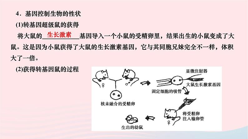 2024八年级生物下册第七单元生物圈中生命的延续和发展第二章生物的遗传与变异第一节基因控制生物的性状作业课件新版新人教版第3页