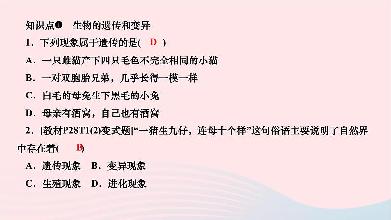 2024八年级生物下册第七单元生物圈中生命的延续和发展第二章生物的遗传与变异第一节基因控制生物的性状作业课件新版新人教版第5页