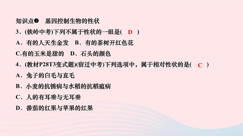 2024八年级生物下册第七单元生物圈中生命的延续和发展第二章生物的遗传与变异第一节基因控制生物的性状作业课件新版新人教版第6页