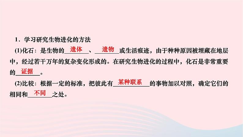 2024八年级生物下册第七单元生物圈中生命的延续和发展第三章生命起源和生物进化第二节生物进化的历程作业课件新版新人教版02