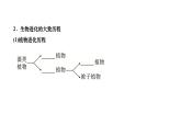 2024八年级生物下册第七单元生物圈中生命的延续和发展第三章生命起源和生物进化第二节生物进化的历程作业课件新版新人教版