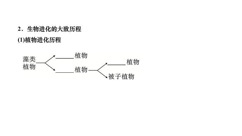 2024八年级生物下册第七单元生物圈中生命的延续和发展第三章生命起源和生物进化第二节生物进化的历程作业课件新版新人教版04