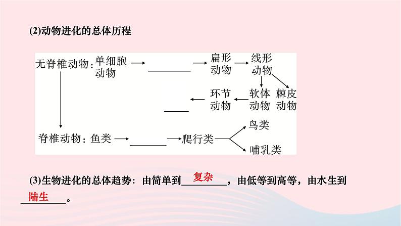 2024八年级生物下册第七单元生物圈中生命的延续和发展第三章生命起源和生物进化第二节生物进化的历程作业课件新版新人教版05