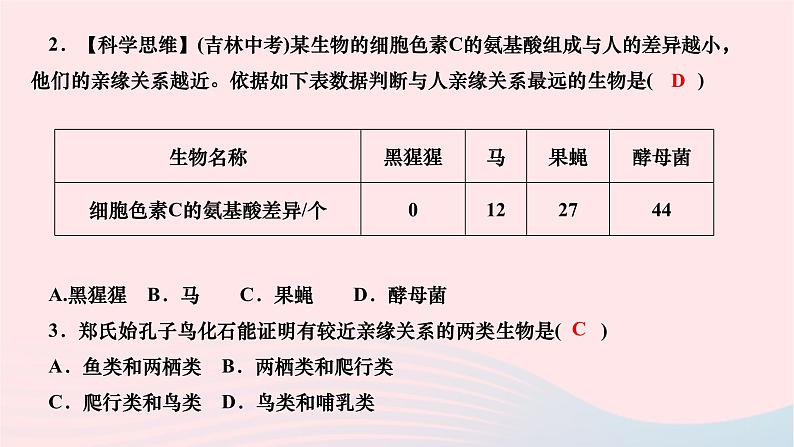 2024八年级生物下册第七单元生物圈中生命的延续和发展第三章生命起源和生物进化第二节生物进化的历程作业课件新版新人教版08