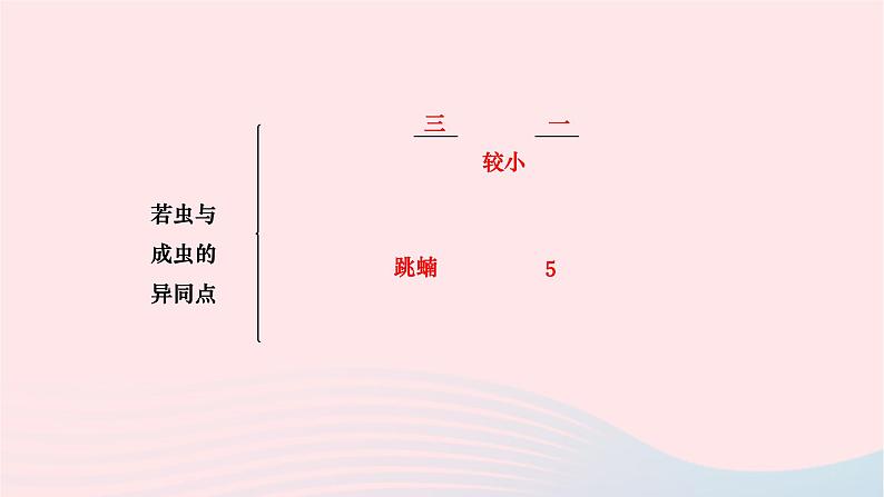 2024八年级生物下册第七单元生物圈中生命的延续和发展第一章生物的生殖和发育第二节昆虫的生殖和发育作业课件新版新人教版第3页