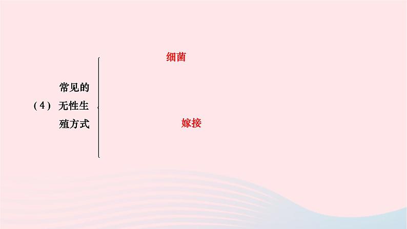 2024八年级生物下册第七单元生物圈中生命的延续和发展第一章生物的生殖和发育第一节植物的生殖作业课件新版新人教版第4页