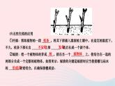 2024八年级生物下册第七单元生物圈中生命的延续和发展第一章生物的生殖和发育第一节植物的生殖作业课件新版新人教版