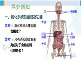 北师大版七年级生物下册 第8章 人体的营养第1课时 消化系统的组成 食物在口腔内的消化（课件）