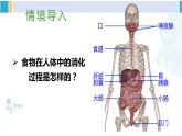 北师大版七年级生物下册 第8章 人体的营养第2课时 食物在胃和小肠内的消化 营养物质的吸收（课件）