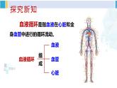 北师大版七年级生物下册 第9章 人体内的物质运输第1课时 血管和心脏（课件）