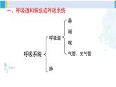北师大版七年级生物下册 第10章 人体的能量供应第1课时 呼吸系统的组成与功能（课件）