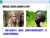 北师大版七年级生物下册 第10章 人体的能量供应第1课时 呼吸系统的组成与功能（课件）