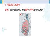北师大版七年级生物下册 第10章 人体的能量供应第2课时 人体内的气体交换（课件）