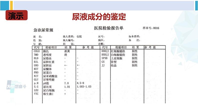 北师大版七年级生物下册 第11章 人体代谢废物的排出第1节 人体产生的代谢废物（课件）第6页